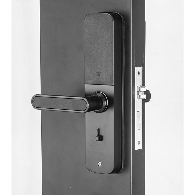 OAC Intelligent Multifuncional Smart Biometric Double Sided Fingerprint Lock for Home Apartment Gate Lock