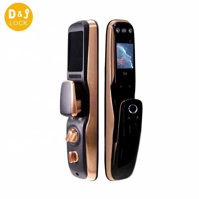 Modern Fingerprint Wifi Door Lock Digital Automatic Door Lock Face Recognize Smart Door Lock with Camera