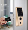 Biometric Fingerprint Digital Keypad Tuya Smart Door Lock