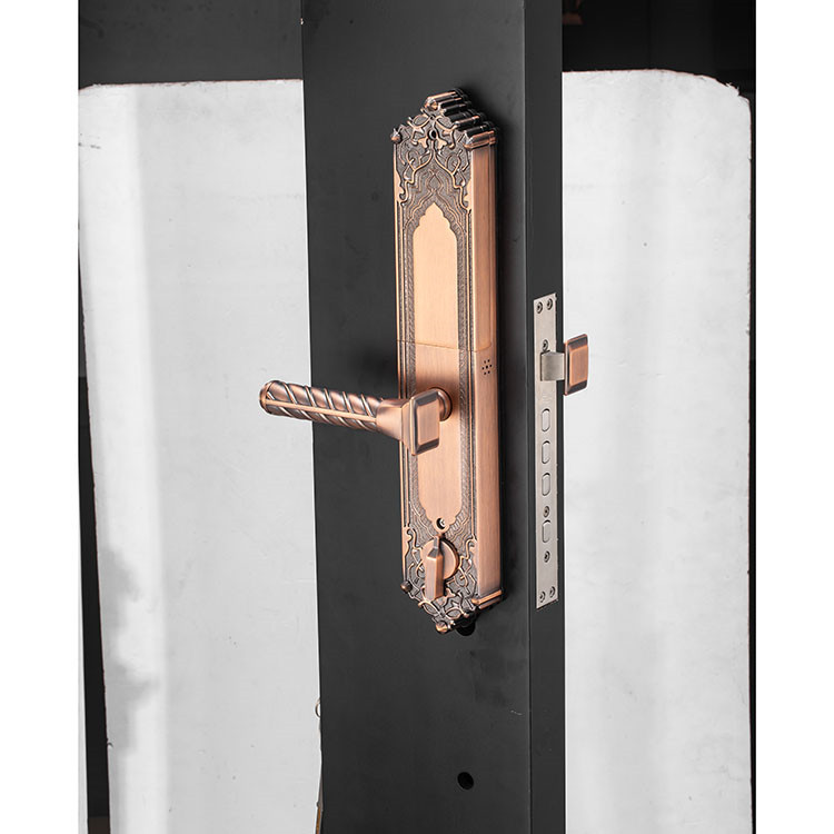 AC Zinc Alloy Smart Home System Safe Password Keypad Smart Digital biometric Fingerprint Door Lock