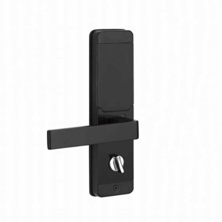 Hot Sale Door Lock Small Mortise Modern Fingerprint Lock Door Stylish Door Lock With Low Price 